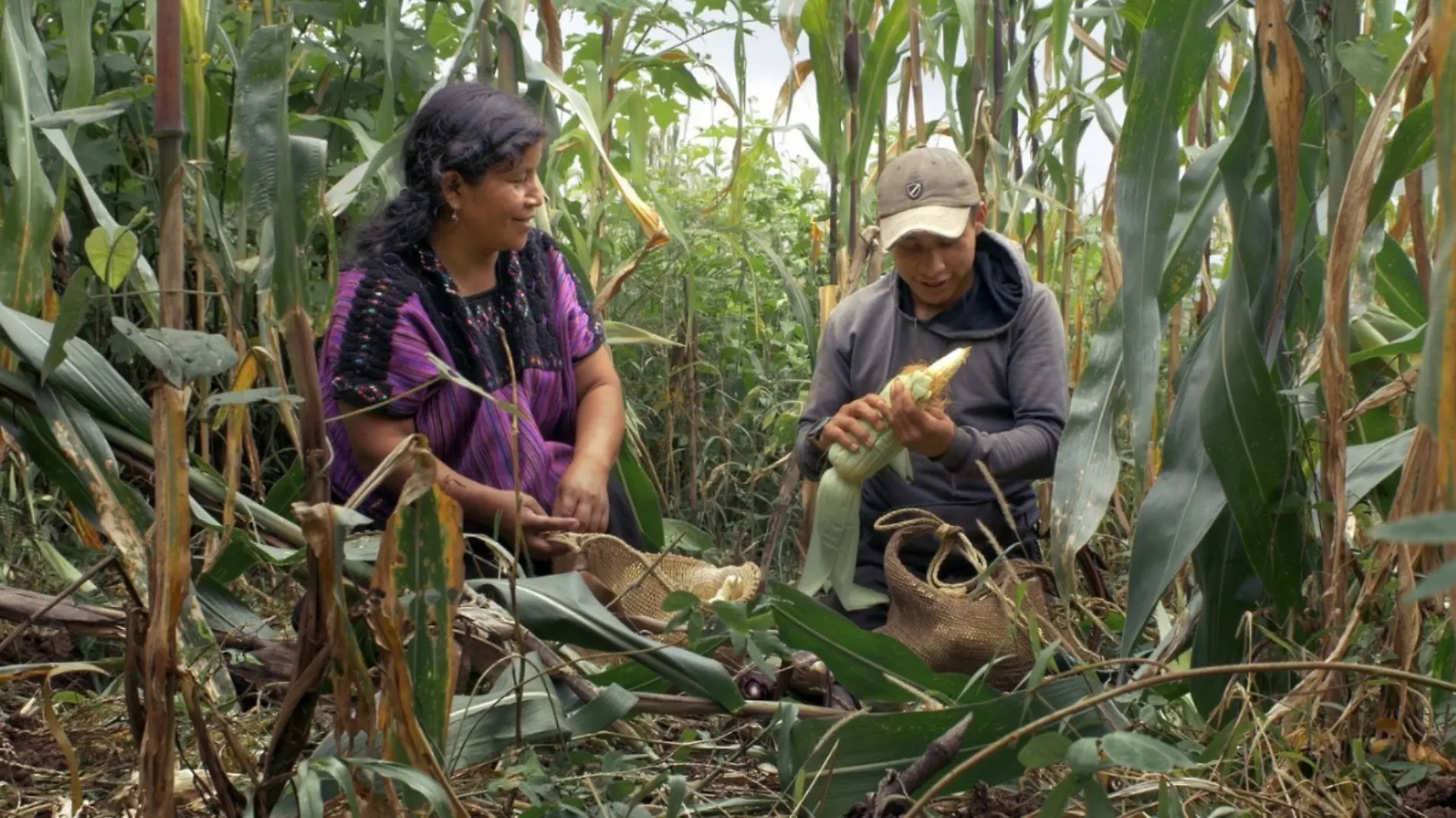 mujeres zapatistas (1)